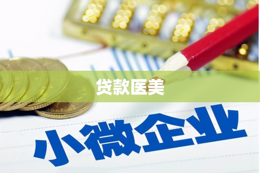 新园贷款医美
