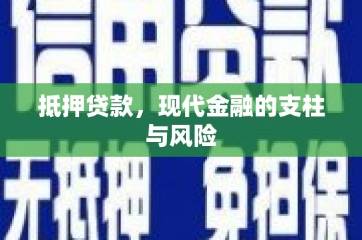 新园抵押贷款，现代金融的支柱与风险