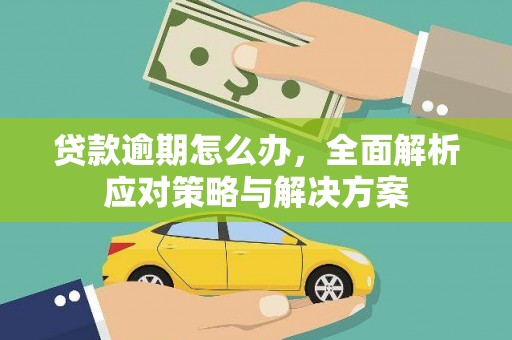 新园贷款逾期怎么办，全面解析应对策略与解决方案