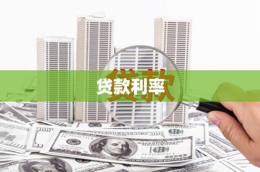 新园贷款利率