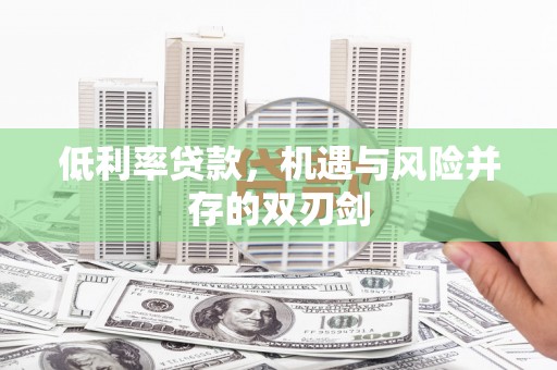 新园低利率贷款，机遇与风险并存的双刃剑