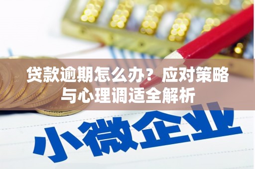 新园贷款逾期怎么办？应对策略与心理调适全解析