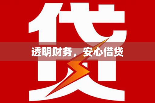 新园透明财务，安心借贷
