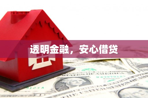 新园透明金融，安心借贷