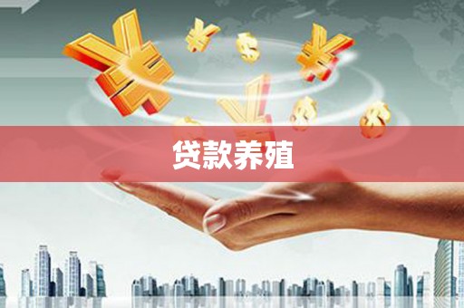 新园贷款养殖