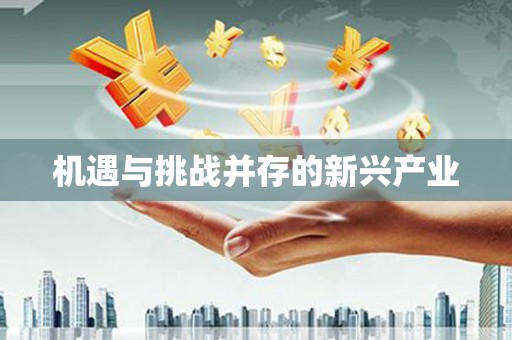 新园机遇与挑战并存的新兴产业