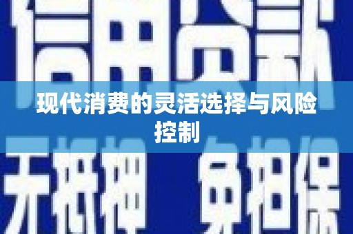 新园现代消费的灵活选择与风险控制