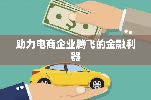 新园助力电商企业腾飞的金融利器