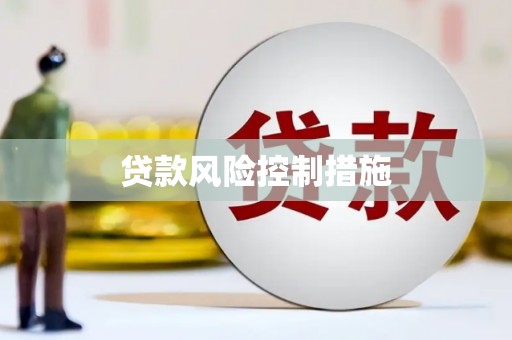 新园贷款风险控制措施