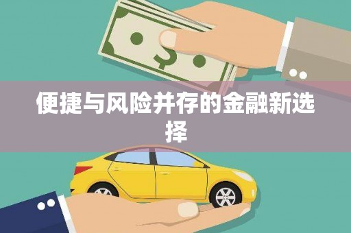 新园便捷与风险并存的金融新选择