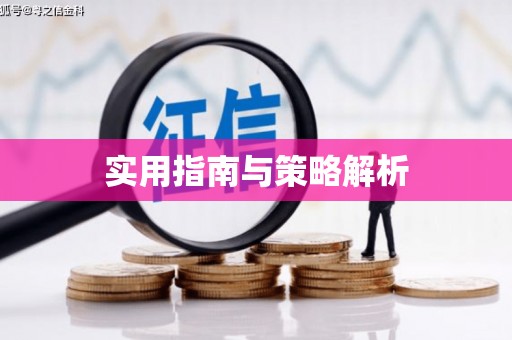 新园实用指南与策略解析