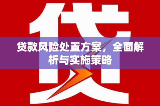 新园贷款风险处置方案，全面解析与实施策略