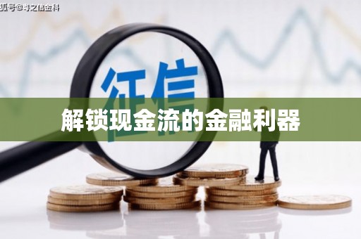 新园解锁现金流的金融利器