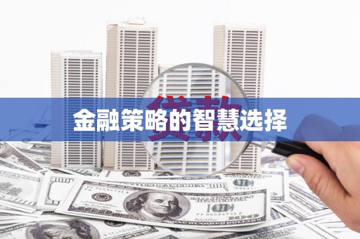 新园金融策略的智慧选择