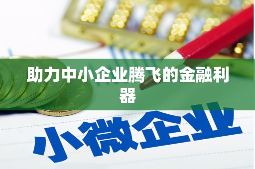 新园助力中小企业腾飞的金融利器