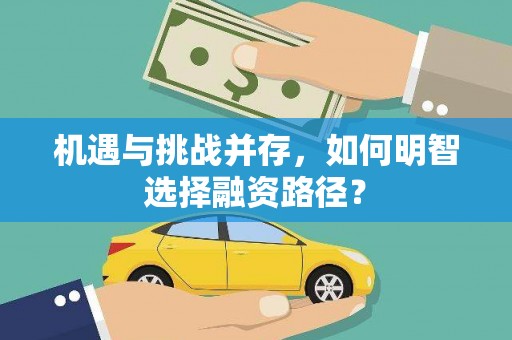 新园机遇与挑战并存，如何明智选择融资路径？