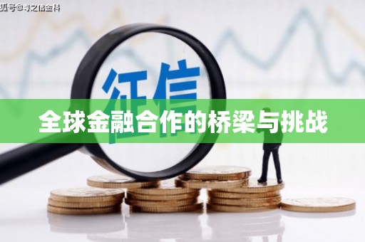 新园全球金融合作的桥梁与挑战