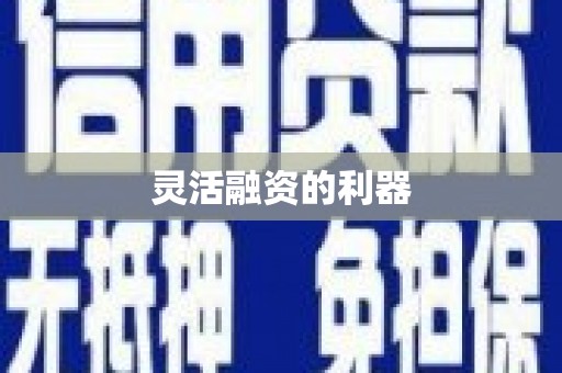 新园灵活融资的利器