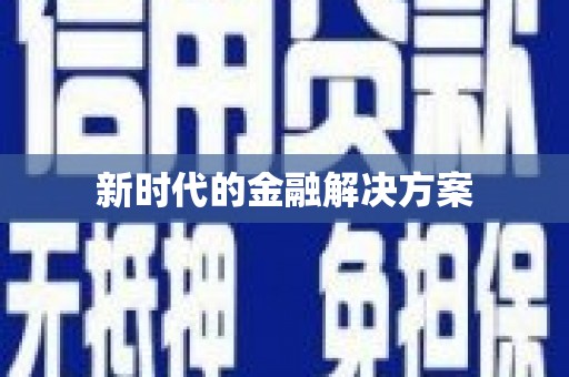 新园新时代的金融解决方案