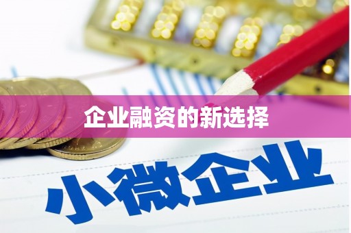 新园企业融资的新选择