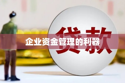 新园企业资金管理的利器