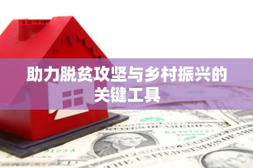 新园助力脱贫攻坚与乡村振兴的关键工具