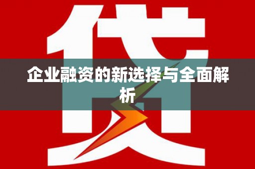 新园企业融资的新选择与全面解析