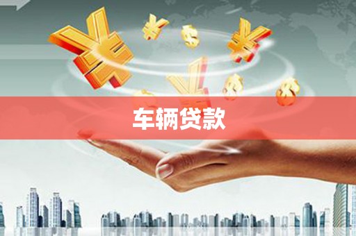 新园车辆贷款