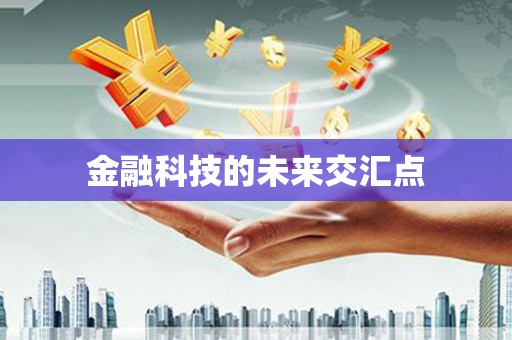 新园金融科技的未来交汇点