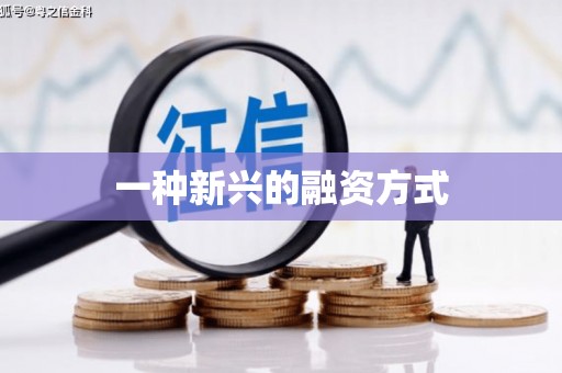新园一种新兴的融资方式
