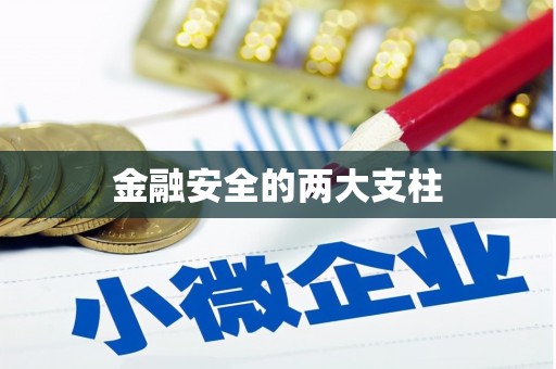 新园金融安全的两大支柱