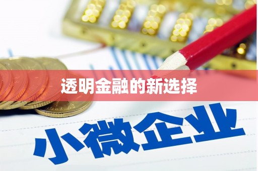 新园透明金融的新选择