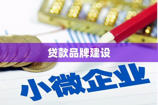 新园贷款品牌建设