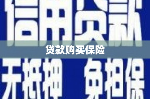 新园贷款购买保险