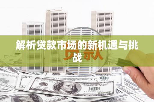 新园解析贷款市场的新机遇与挑战