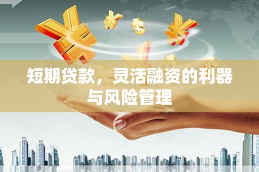 新园短期贷款，灵活融资的利器与风险管理