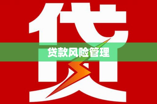 新园贷款风险管理