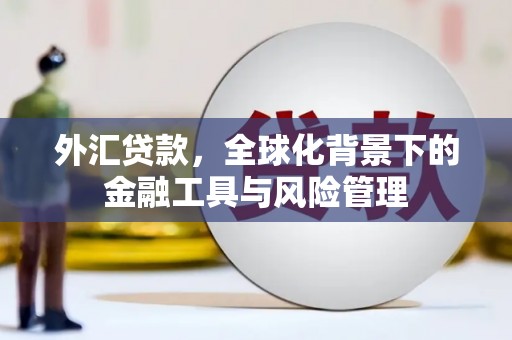 新园外汇贷款，全球化背景下的金融工具与风险管理