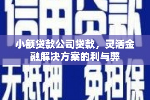 新园小额贷款公司贷款，灵活金融解决方案的利与弊