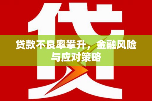 新园贷款不良率攀升，金融风险与应对策略