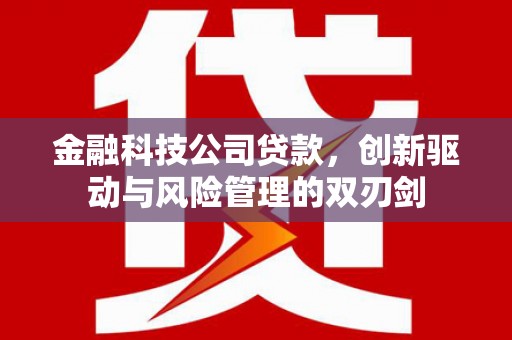 新园金融科技公司贷款，创新驱动与风险管理的双刃剑